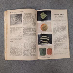 Vintage 1961 The Progressive Farmers Garden Book For The South *Scarce* image 6