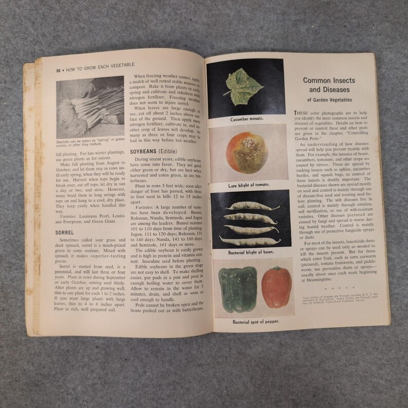 Vintage 1961 The Progressive Farmers Garden Book For The South *Scarce* image 6