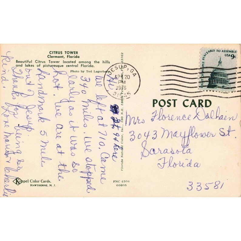 Vintage Citrus Tower Clermont Florida Vykort Apelsinträd 1976 Poststämpel VG bild 2