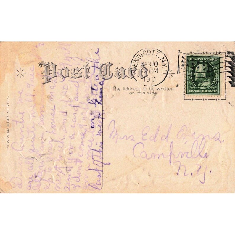 Vintage 1911 A Happy New Year Postcard Red Bird Holly Berries Endicott NY Stamp image 2