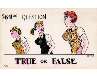 Carte postale vintage d'Elmer Anderson (BD) : Vrai ou faux ? Question à 64 dollars. Très bon état.