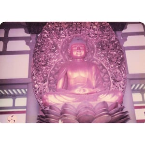 Vintage 1970s Byodo-In Temple Oahu Hawaii Buddha Photo Lot of 9 image 1