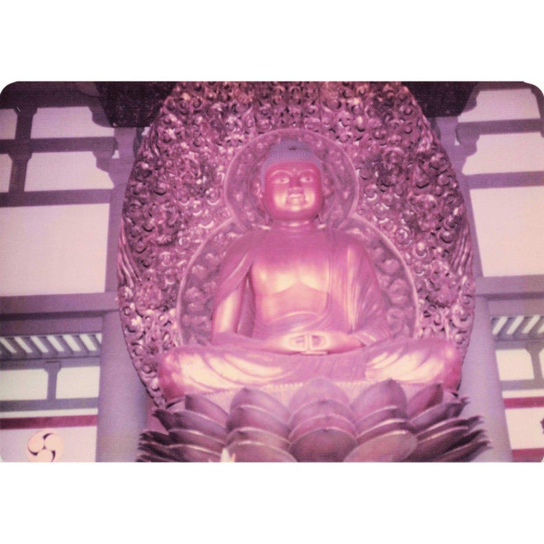 Vintage 1970s Byodo-In Temple Oahu Hawaii Buddha Photo Lot of 9 image 1