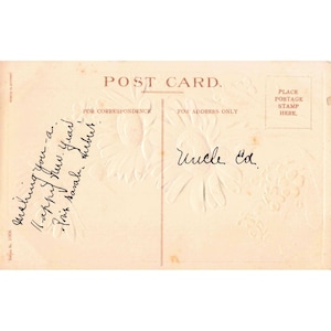 Antique Embossed New Year Postcard Daisies Forget-Me-Nots Germany 1006 image 2