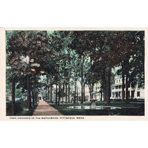 Vintage Postcard Park Grounds of The Maplewood Pittsfield Mass S. S. Kresge VG image 1