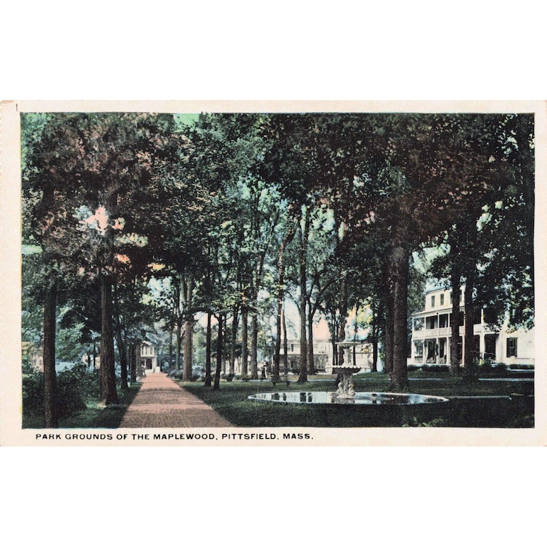 Vintage Postcard Park Grounds of The Maplewood Pittsfield Mass S. S. Kresge VG image 1