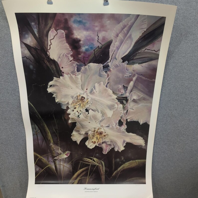 Sonia Torres Limited Ed signierter Kolibri Odontoglossum Crispum Künstlerdruck Bild 1