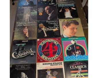 15 Classical Vinyl LP Record Lot Bernstein Horowitz Van Cliburn Beethoven VG