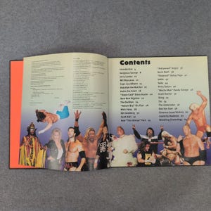 Wrestling Madness Matt Hunter Book 8 Signatures Autographed Sting Dustin Rhodes image 11