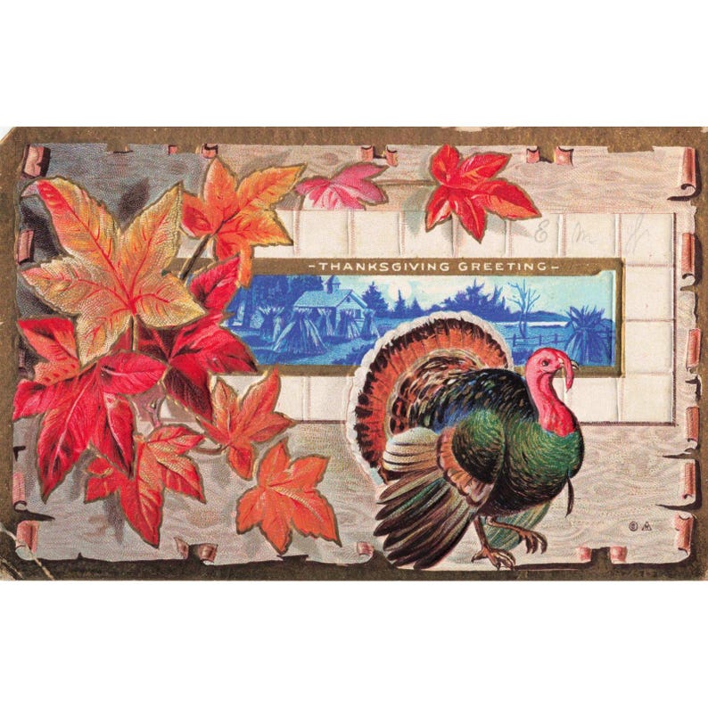 Carte postale vintage de 1910 d'E. Nash pour Thanksgiving, dinde en relief et feuilles d'érable, Allemagne image 1