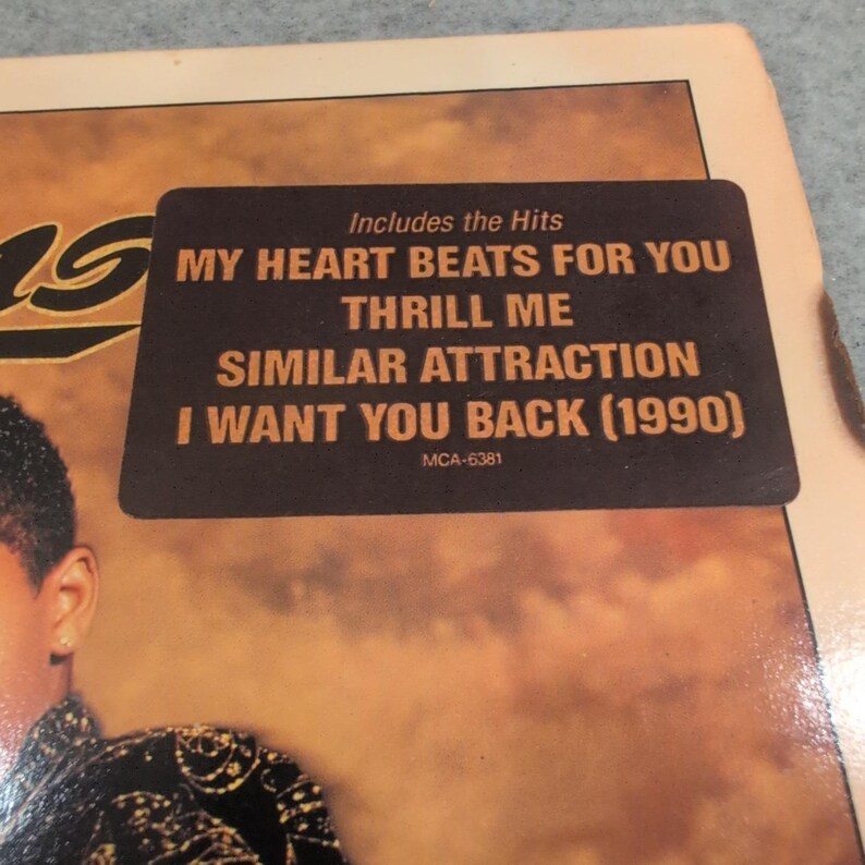 The Newtrons Selbstbetiteltes Vinyl LP Album 1990 MCA-6381 New Jack Swing Promo VG + Bild 2