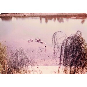 12 Vintage 1970s Jinju Korea Photos Chokseongnu Nongae Namgang River image 4