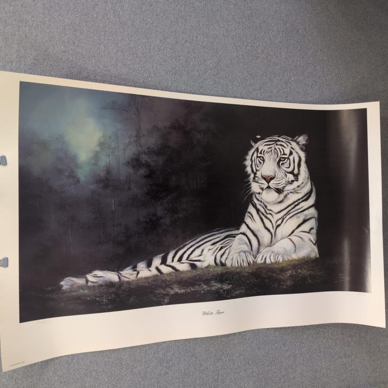 Sonia Torres Limited Edition, Numbered, Signed White Tiger Artist's Print image 1