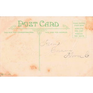 Antique Thanksgiving Greetings Postcard Turkey Embossed Art Nouveau P.C. 226 image 2