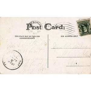 1907年 冬の雪景色 森 RPPC ポストカード ウィスコンシン州シェボイガン 1セント フランクリン切手 画像 2