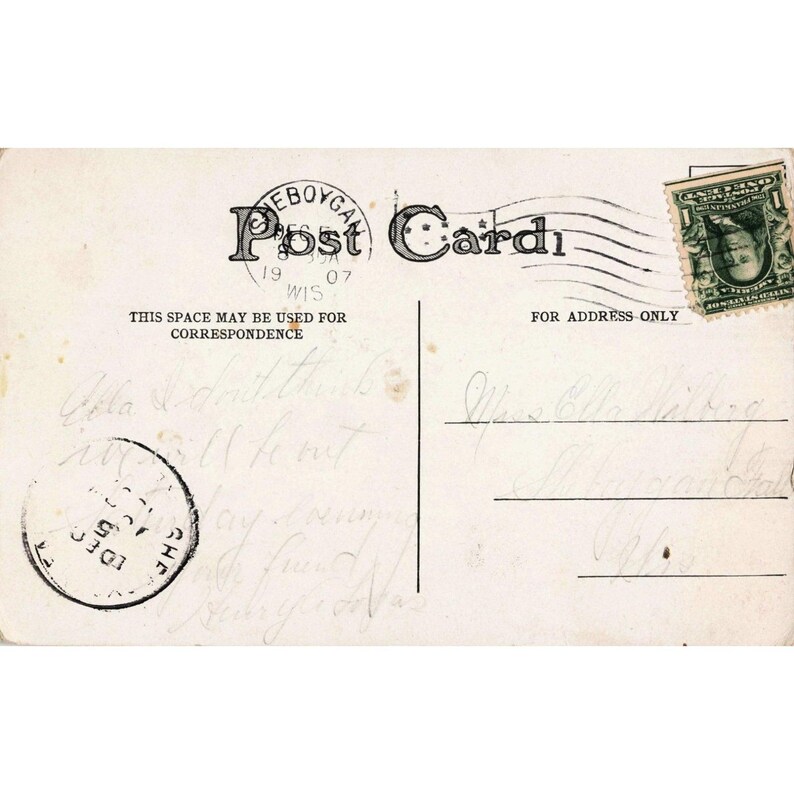 1907年 冬の雪景色 森 RPPC ポストカード ウィスコンシン州シェボイガン 1セント フランクリン切手 画像 2