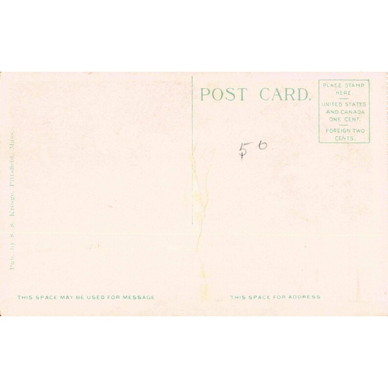 Vintage Postcard Park Grounds of The Maplewood Pittsfield Mass S. S. Kresge VG image 2