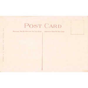 Vintage-Postkarte Nr. 6087 des Parlamentsgebäudes des State Capitol von Madison, Wisconsin Bild 2