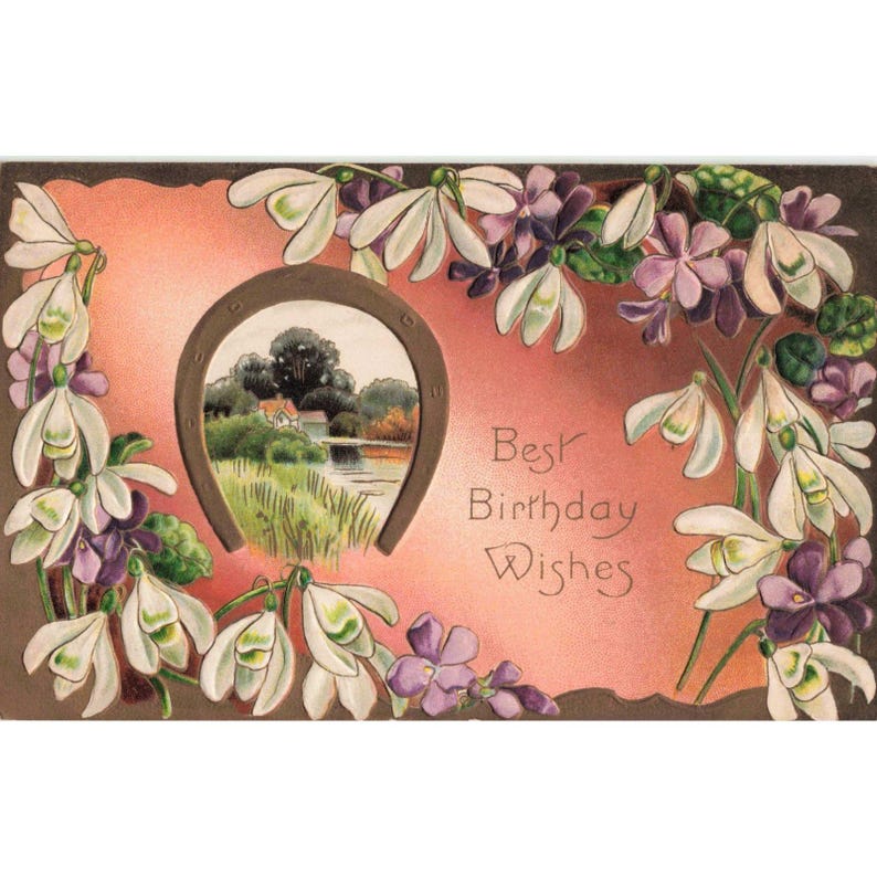 Vintage Best Birthday Wishes Postcard Embossed Snowdrops Horseshoe Germany VG image 1