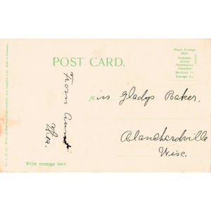 Cartão-postal antigo de 1910 de Los Angeles, CA, colhendo cravos em um campo. Verso dividido. Em bom estado de conservação. imagem 2