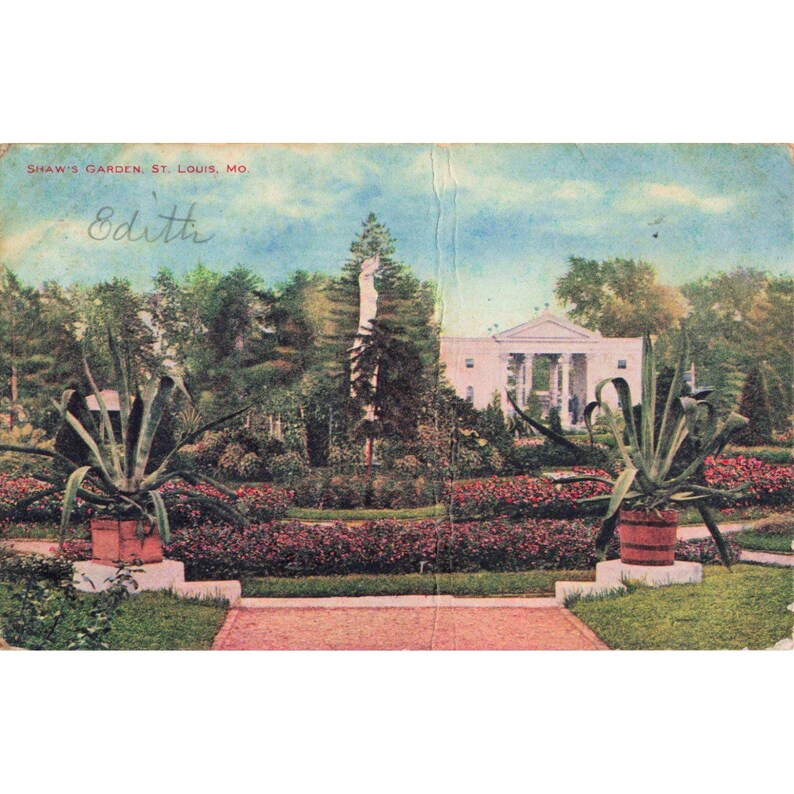 Vintage ansichtkaart van Shaw's Garden St. Louis MO uit 1910, uitgegeven door V. O. Hammon Pub Co., Missouri. afbeelding 1