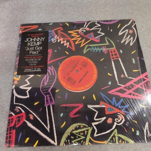 Johnny Kemp Just Got Paid 12" Vinyl Single 1988 Columbia 44 07588 New Jack Swing image 2