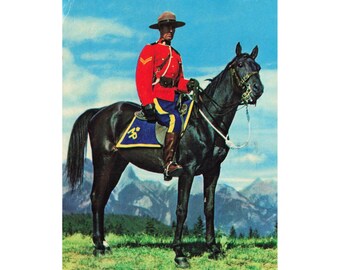 RCMP Mountie on Horseback Postcard 1959 Calgary Alberta 1962 Postmark Chrome