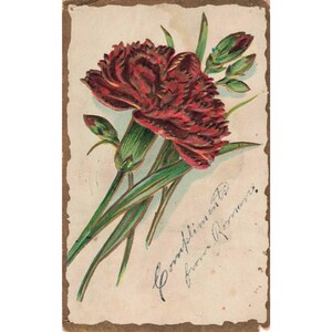 Cartão-postal antigo de 1908 com cravos vermelhos em relevo e carimbo postal de Sheboygan, WI. imagem 1