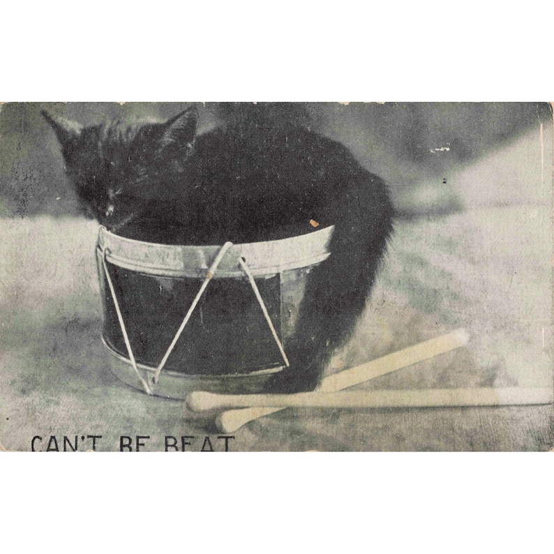 Vykort med svart katt i trumma från 1910, oslagbart, PS & Co, Appleton, Wisconsin, begagnat bild 1