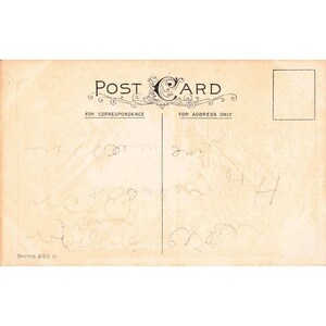 Antique Thanksgiving Postcard Turkeys Corn Fruit Series 253 B Divided Back G image 2