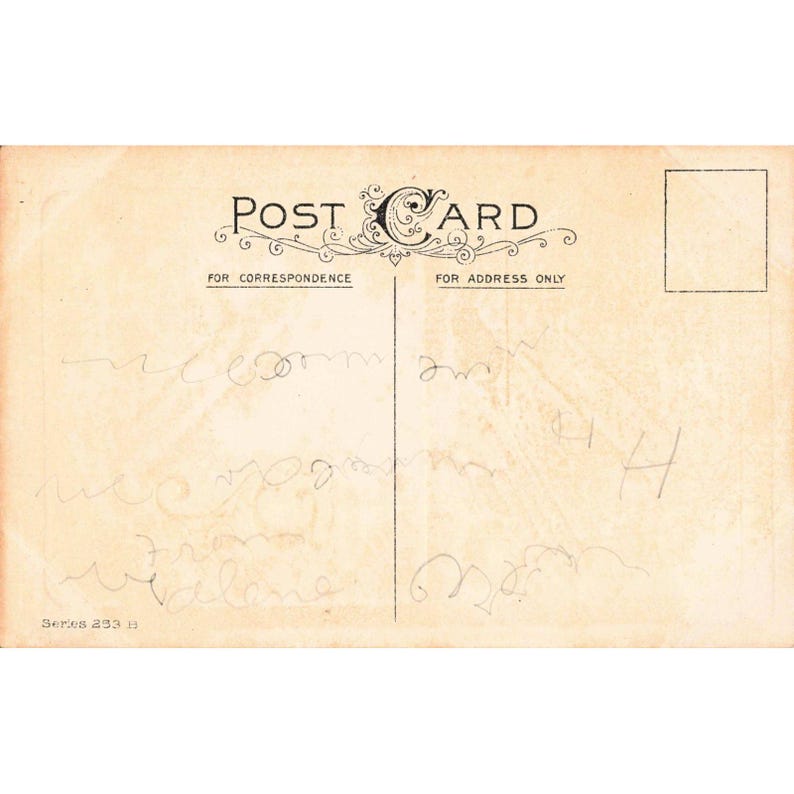 Antique Thanksgiving Postcard Turkeys Corn Fruit Series 253 B Divided Back G image 2