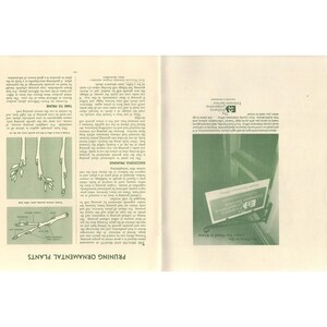 Pruning Ornamental Plants Alabama Cooperative Extension Circular ANR-258 Auburn image 3