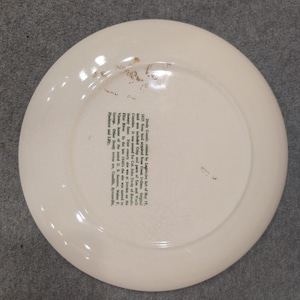 Dooly County Georgia 150th Anniversary Commemorative Plate 1821-1971 Green White image 2