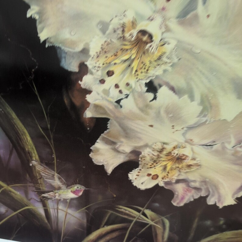 Sonia Torres Limited Ed signierter Kolibri Odontoglossum Crispum Künstlerdruck Bild 3
