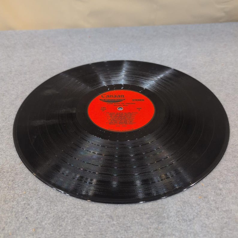 The Florida Boys Your Kind of Singing Vinyl LP Canaan Records CAS-9664 Stereo VG image 6