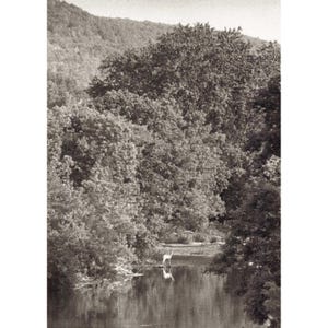 William H Tague, juego de 15 postales, Berkshires, Tanglewood, Leonard Bernstein, Naturaleza imagen 5