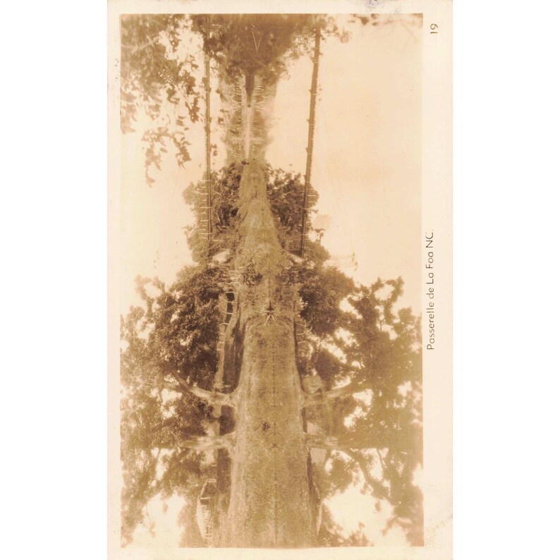 ニューカレドニア産1940年代ヴィンテージRPPCポストカード20枚セット - 写真をご覧ください！ 画像 6