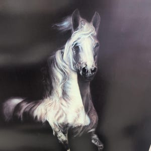 Sonia Torres Limited Edition, Numbered, Signed Arabian Left Horse Artist's Print image 2