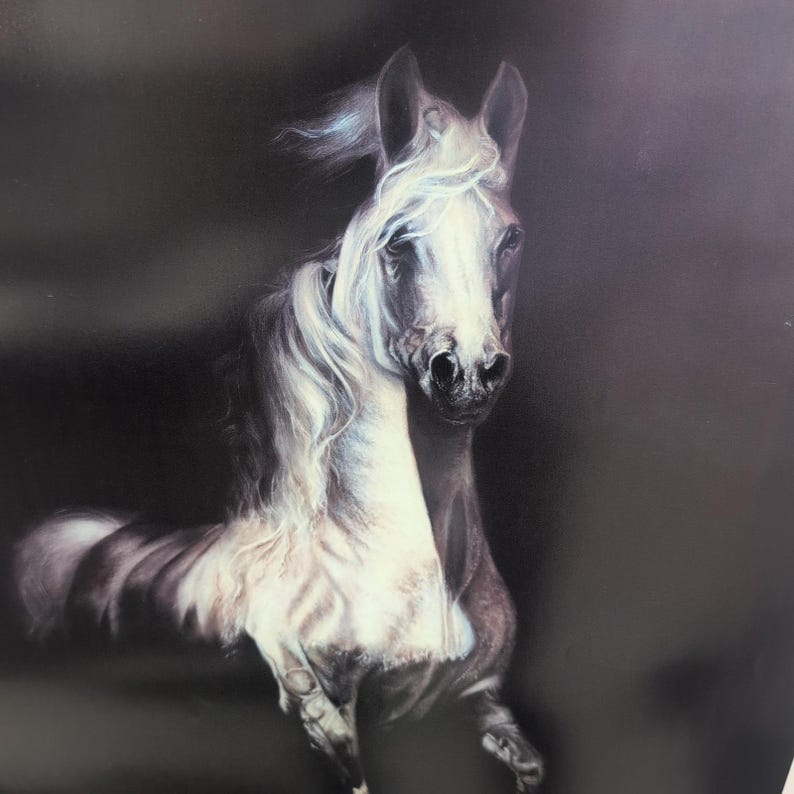 Sonia Torres Limited Edition, Numbered, Signed Arabian Left Horse Artist's Print image 2