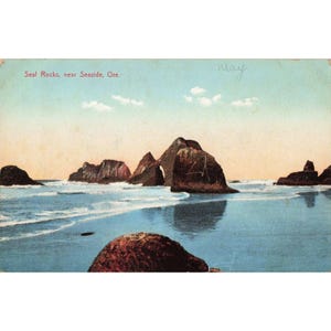 Vintage Seal Rocks Seaside Oregon Postcard JK Gill Co Made in Germany VG image 1