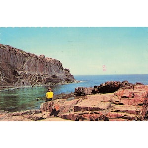 Vintage ansichtkaart van Bald Head Cliff Ogunquit Maine uit 1975, poststempel van David Snyder. afbeelding 1