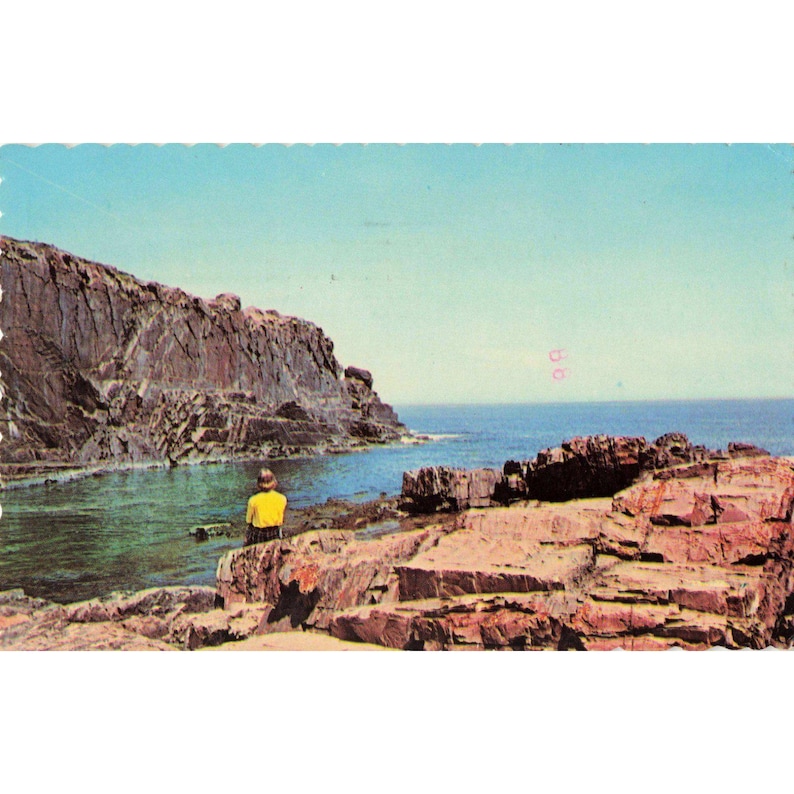 Vintage ansichtkaart van Bald Head Cliff Ogunquit Maine uit 1975, poststempel van David Snyder. afbeelding 1