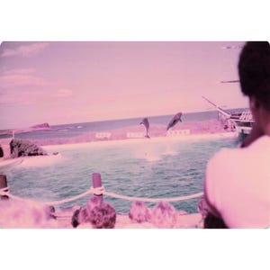 Vintage 1970s Sea Life Park Hawaii Dolphin Show Tall Ship Photo Lot of 17 image 17
