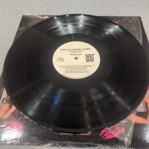 The Egyptian Lover DSL'S I Want Cha 12" Vinyl Single 1988 NuBeat VL 9754 VG image 3