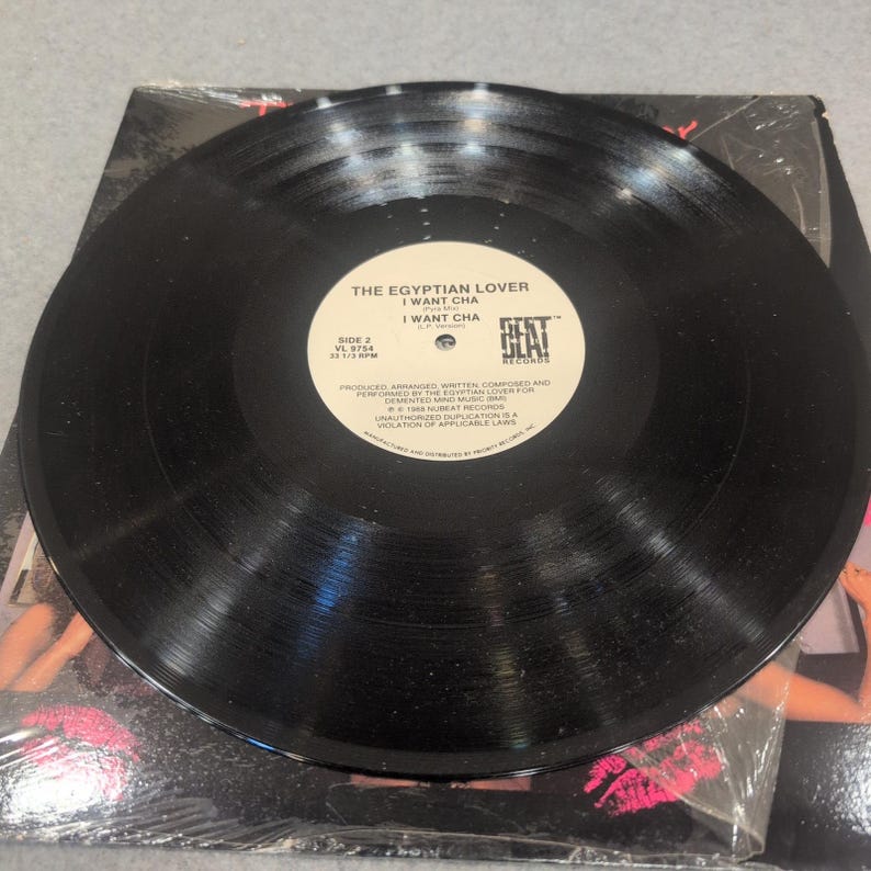 The Egyptian Lover DSL'S I Want Cha 12" Vinyl Single 1988 NuBeat VL 9754 VG image 3