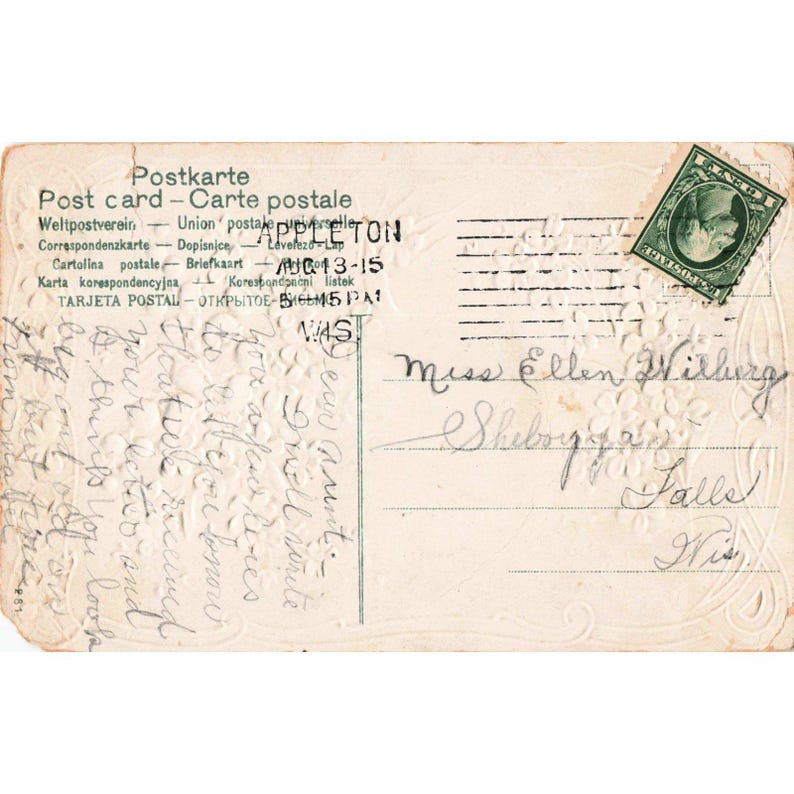 Cartão-postal floral antigo de 1915 com a flor "Não me esqueças", representando Ellen Esquece-me de Lírio-do-vale, de Appleton, Wisconsin. imagem 2