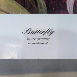 Sonia Torres Butterfly White Orchids Dendrobium Artist Print Signed Limited Ed image 5