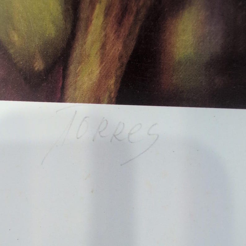 Sonia Torres Butterfly White Orchids Dendrobium Artist Print Signed Limited Ed image 7
