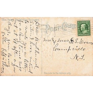 Antique Easter Greetings Postcard 1910 Chicks Flowers 1 Cent Franklin Stamp VG image 2