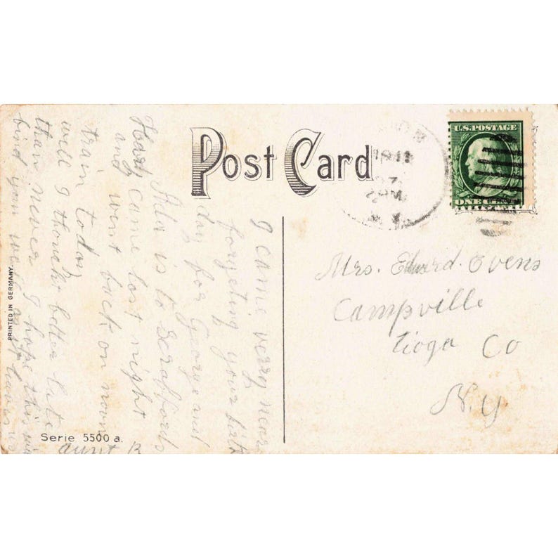 Vtg 1911 Birthday Greetings Postcard Purple Chrysanthemums Germany Serie 5500 image 2